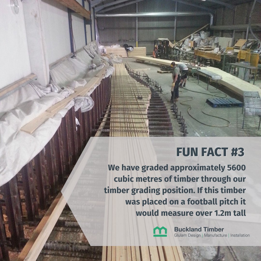 BucklandTimber's tweet image. As part of the glulam manufacture process raw kiln dried timber is graded to SS to British standard 4978.

Some of the criteria include:

- straightness of timber
- size and position of knots
- Growth rate
- Direction of grain
- Wane

 #glulam #manufacturingprocess