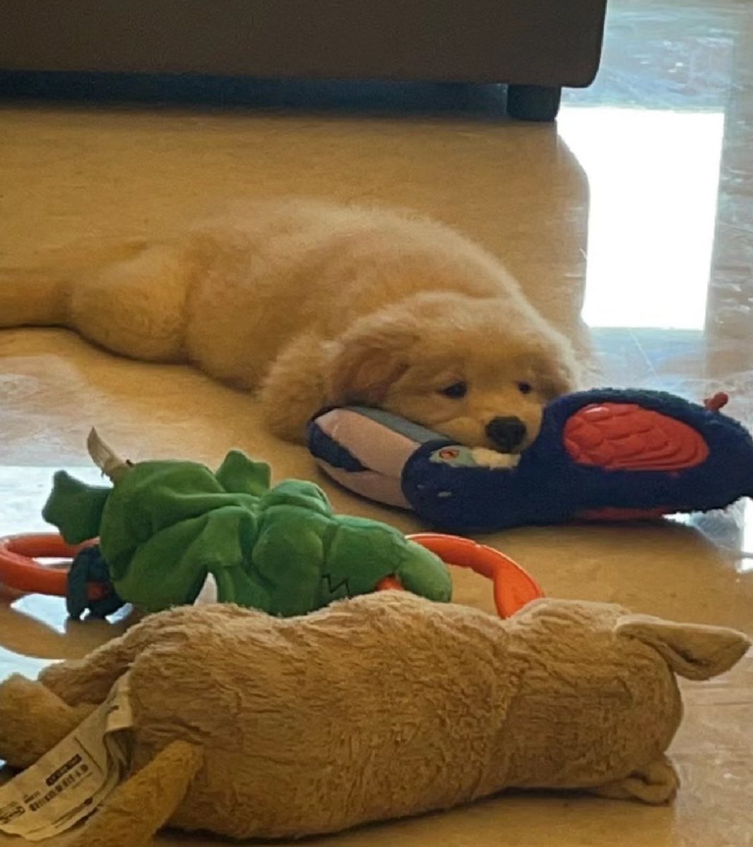 เล่นกะเพื่อนไม่หนุกเลยอยากเล่นกะเทอ