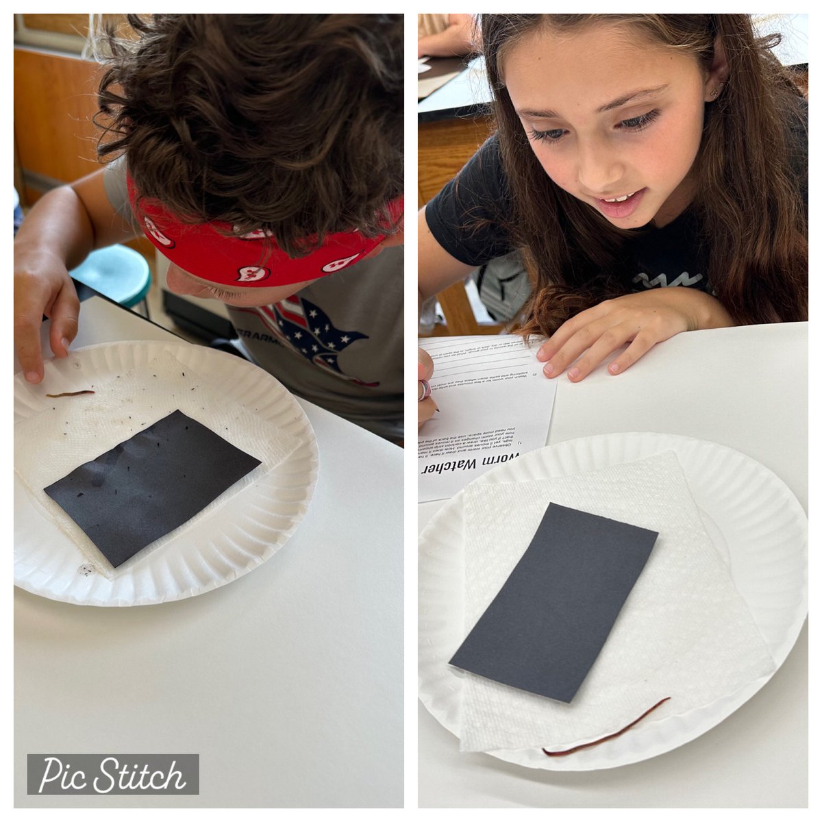 MrsVTechTeach's tweet photo. Who doesn’t love learning about decomposers with some up close and personal time with worms? Thank you @MysterySci Worms from @UncleJimsWorm @GaryYTechnology @MrsRubyEDU https://t.co/oudmXS1Gz5
