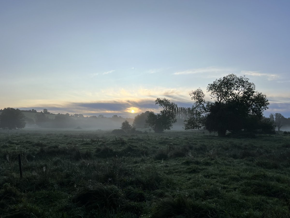 This morning was too beautiful not to share