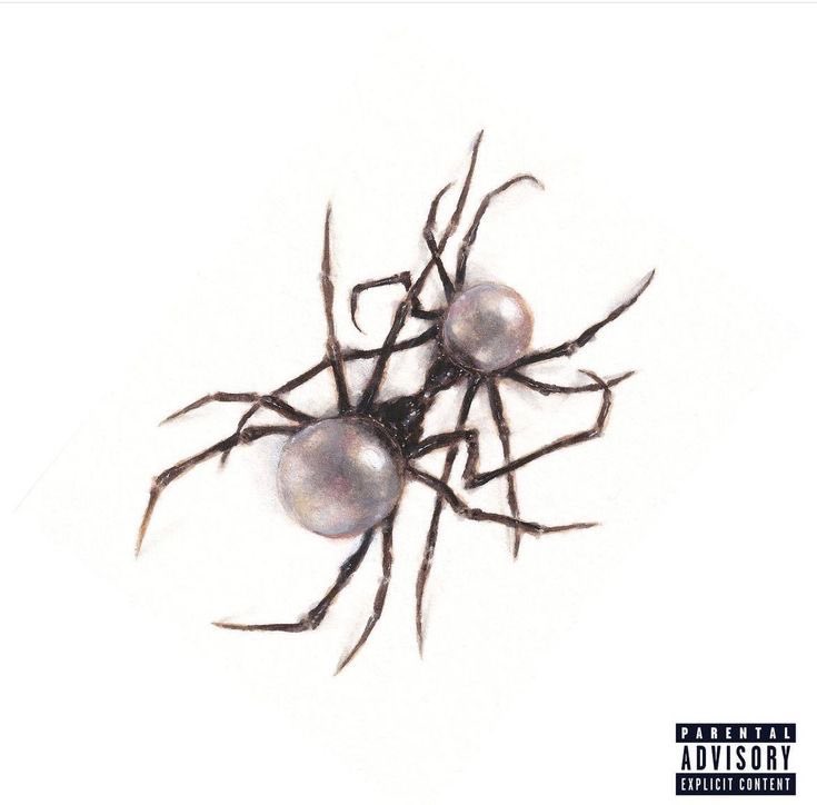 Doja Cat - Scarlet | 2023

•Paint The Town Red ✔️
•Wet Vagina ✔️
•Gun ✔️
•Agora Hills ✔️
•Can’t Wait ✔️
•Attention ✔️