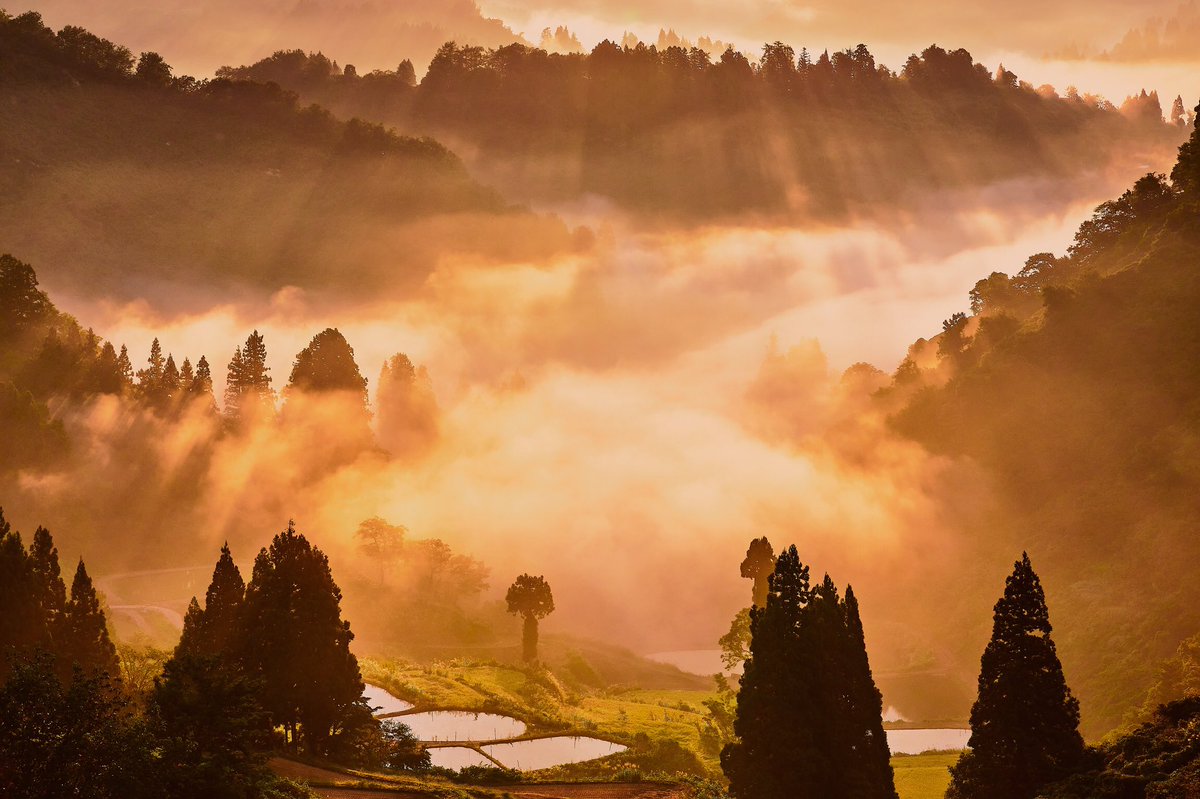 降り注ぐ光
pouringlight

#新潟 #山古志 #棚田 #朝日 #雲海 #sunrise #sunrisephotography #nature #seaofclouds #spectacularview #beautifulnature