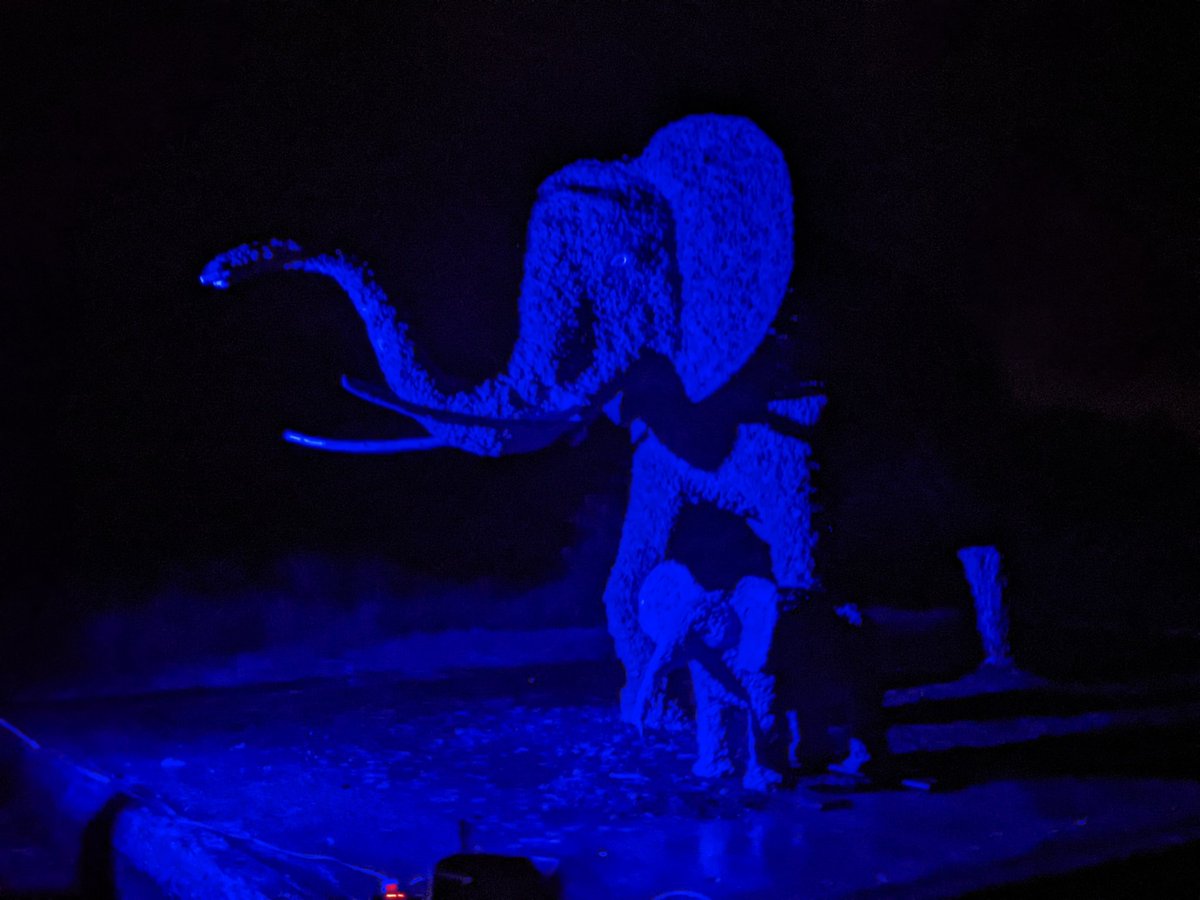 #African #elephants seen at night in Co #Donegal