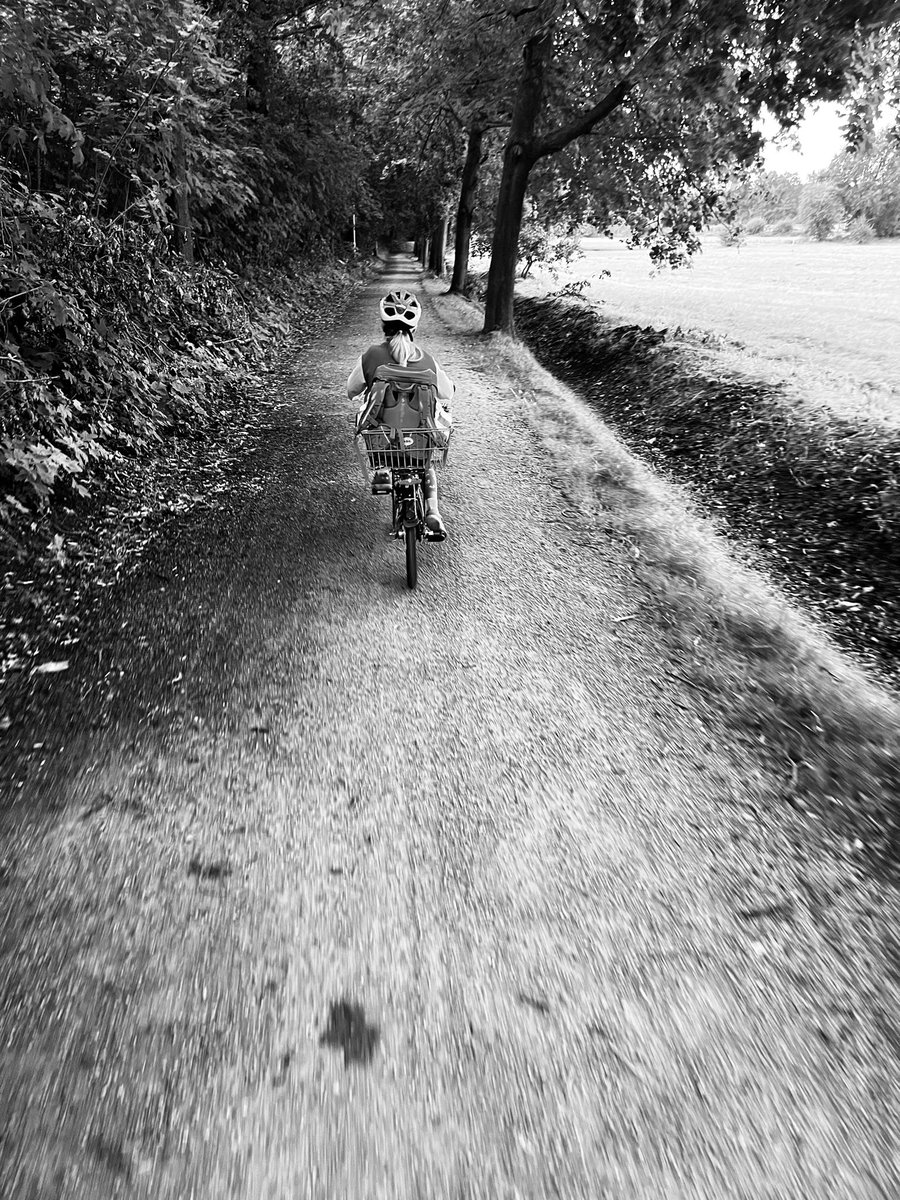 antje386's tweet photo. On the way to school
#schulweg #waytoschool #school #schoolroute #fridaymorning #bike #fahrrad #bycicle https://t.co/raKeacGrLD