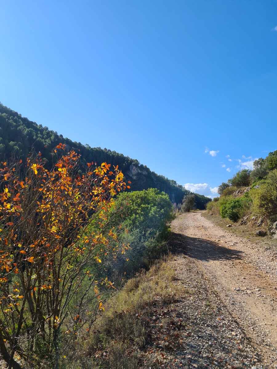 costablancaorg's tweet photo. ¡Descubre la magia de la Vía Verde del Serpis en #Lorcha! 🌿🚴♀️ Este rincón escondido de la #CostaBlanca te espera con paisajes naturales impresionantes y un recorrido perfecto para los amantes del ciclismo y el senderismo. ¡Una experiencia única que no querrás perderte! https://t.co/BNym3SCVcW