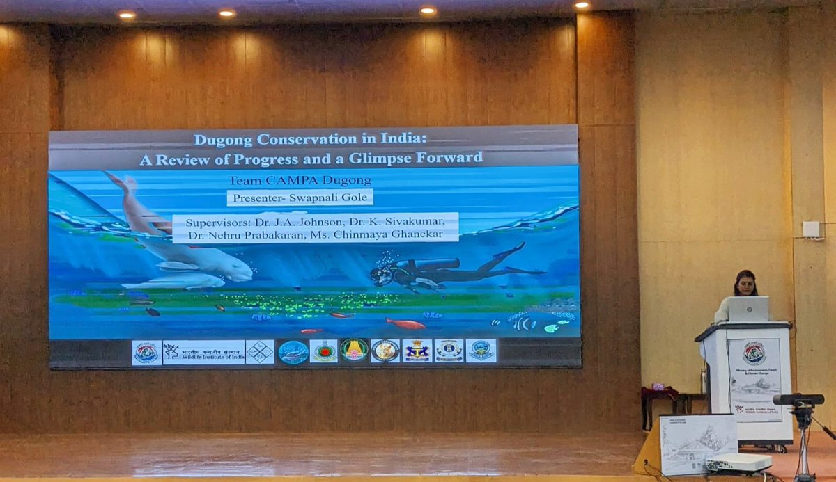 wii_india's tweet photo. Get ready to dive into the fascinating world of dugong conservation in India! Let’s get our flippers on and learn to be dugong champions together! #dugongsforever @moefcc, @wii_india, @vrtiwari1 @thegrassyfish, @the_sohom, @prachihatkar1, @RajpurkarSagar, @SwetaIyer4, @srabosapiens, @_anagha_b, @Akarshaggarwal6, @OishineeC, @nehrutp, @ksivakumarwii, jayjohny2013