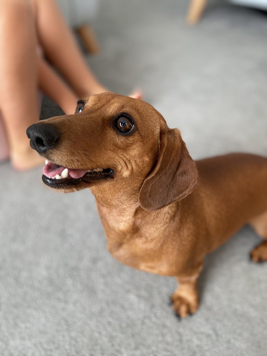 Emma Falconer tweet media