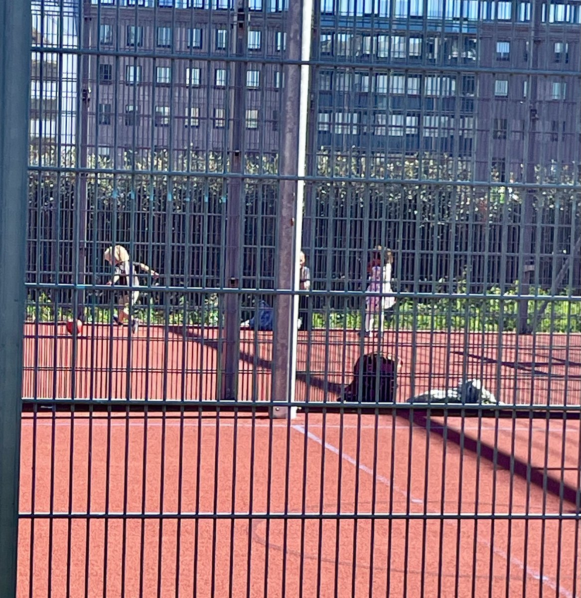 @gebirgsziege Endlich geschafft: die Hecke wird zum Schutz gegen die dahinterliegende Strasse nicht mehr geschnitten💪 
danke #MA42 
traurig genug, dass die Kinder in der Stadt in einem Käfig spielen müssen🙄