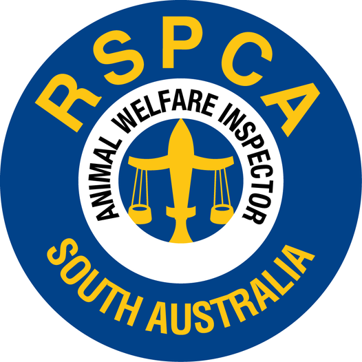 RSPCA SouthAustralia tweet media