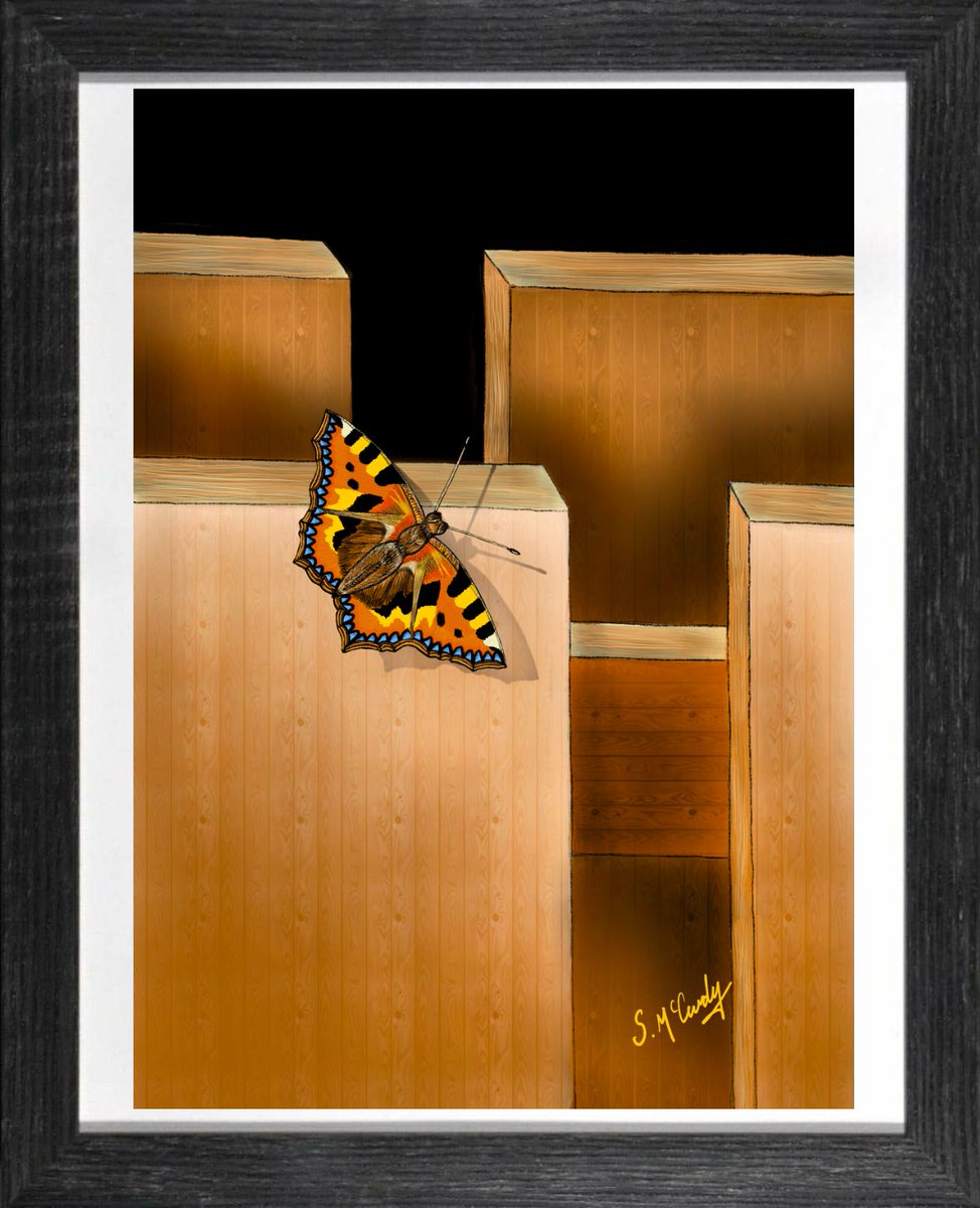 🌟🌟🌟NEW🌟🌟🌟 'On the fence' First attempt... Butterflies are hard 🫣😫😂 Hope you like it! @artonatin @barrabest @BelfastHourNI @CamlakeCanvas @FeelHypnosis @herobelfast @jgphotoni @KarolynGaston1 @pcarlin70 @peterlennon1 @DitchWeasel @savebutterflies