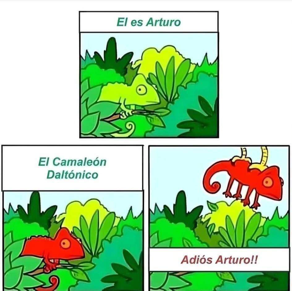 ErigolDelViento's tweet photo. https://t.co/ZrOPCI20nv