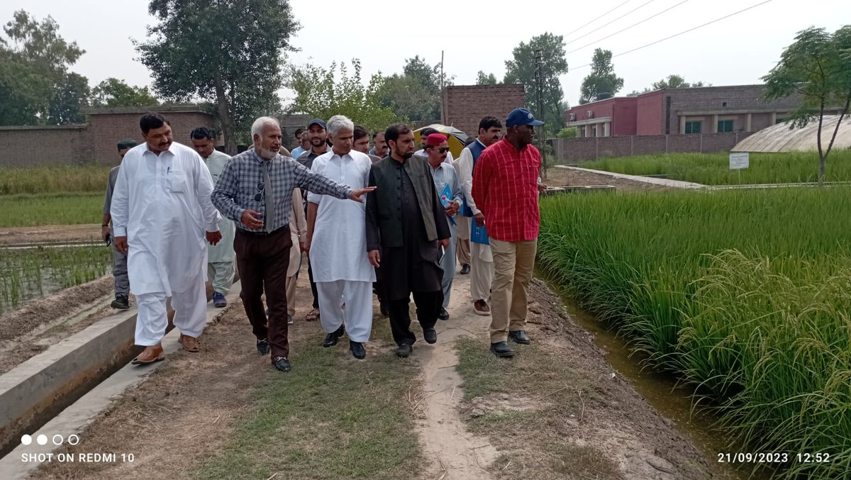 FAOPakistan's tweet photo. Balochistan agriculture officers 🇵🇰🌱 are learning advanced rice production techniques thanks to the Japan Fund for Prosperous and Resilient Asia and Pacific Grant. 🌾🌟 #JFPR #Agriculture #Pakistan
@ADB_HQ
@dpr_gob
@GovtofPakistan
@JapanGov https://t.co/mOfNLRStcp
