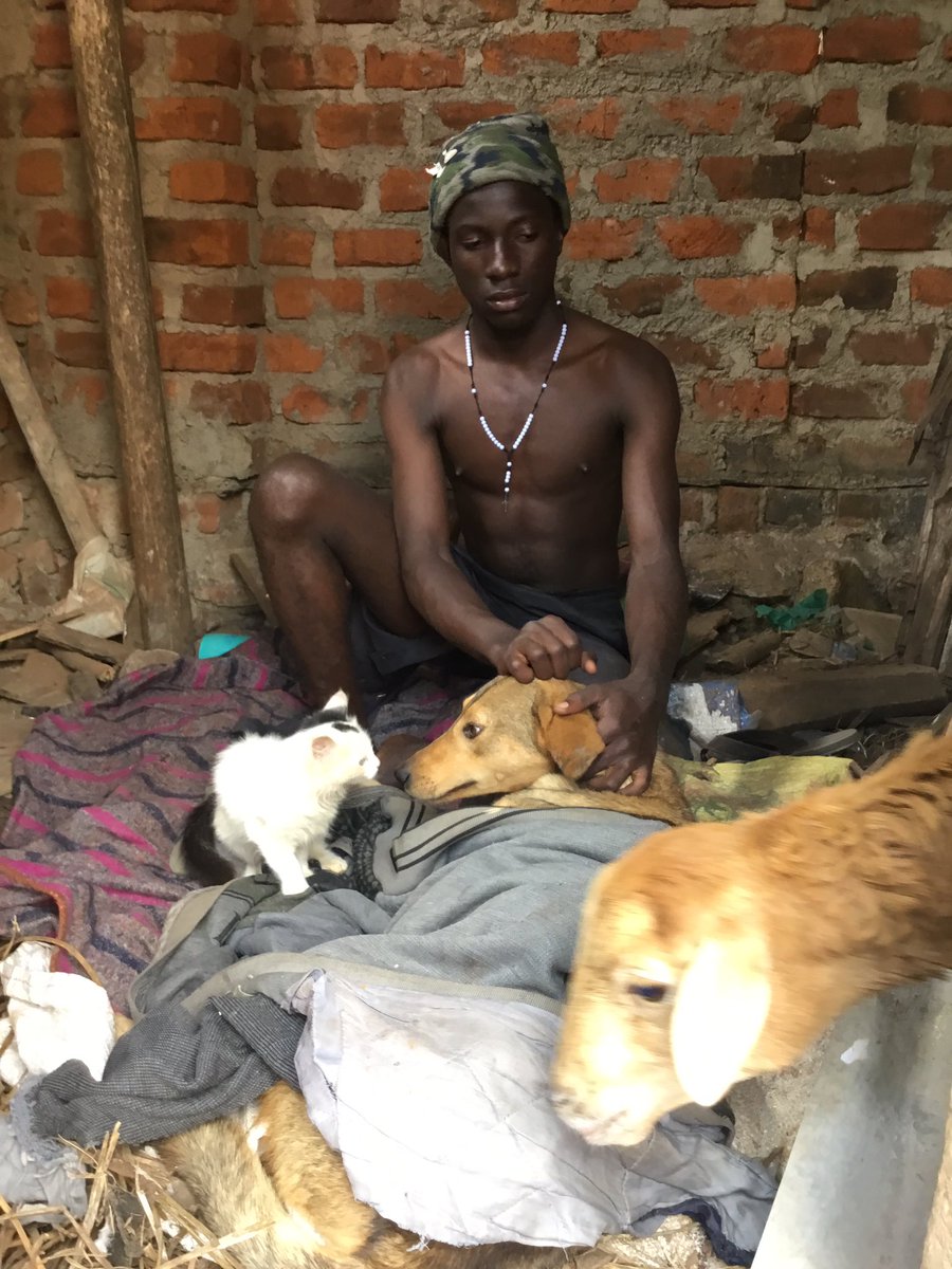 Joseph3Sengendo's tweet image. These animals knows that I don’t have a biological mother they want to be on my chest all the time to give me comfort ,God bless these animals .Please everyone increase your love for animals ❤️💚💚🐕🐕🐈⬛🐈⬛ 🐕🌱🦆🐖 🌱 whoever eats meat is a murderer
#savemyanimalsavemylife