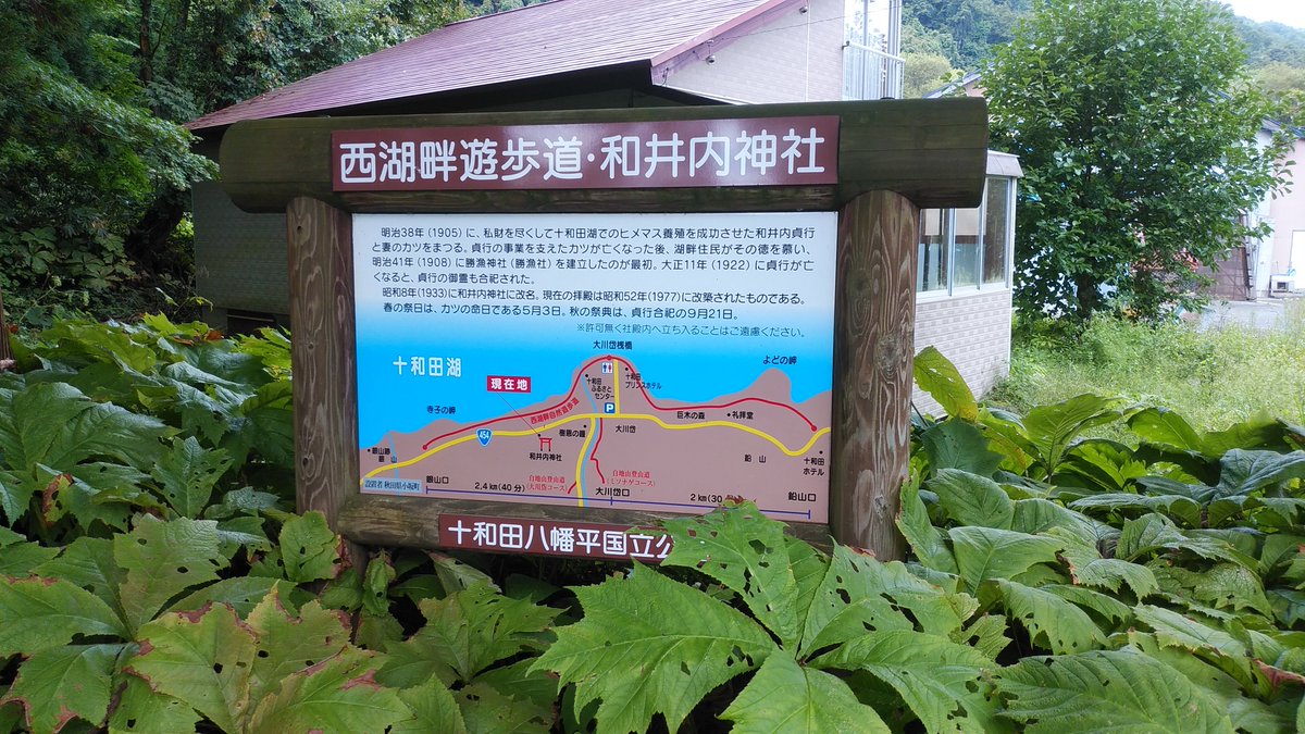yo204861's tweet photo. 9月17日にお参りに行き撮影しました。
十和田湖にヒメマスの養殖に成功した。
和井内貞行と妻のカツを祭った神社！三枚目の写真は奥に朽ち果てた建物の跡が？お参りした感想は時間とともに忘れ去��れるのは…なんか寂しいものですね！
＃康楽館
＃天空の魚影
＃和井内神社
＃和井内貞行　
＃十和田湖 https://t.co/D1c8VSMRzr