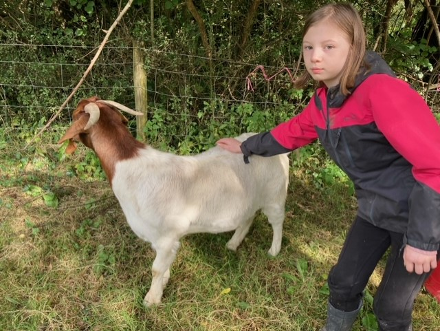 Willow Park C of E Primary School tweet media