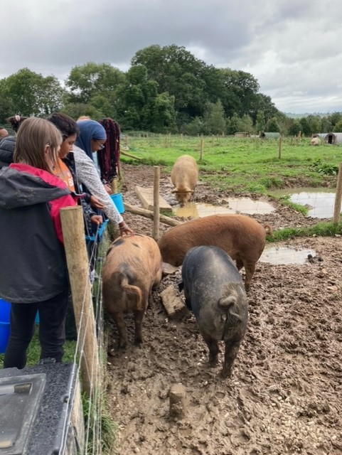 Willow Park C of E Primary School tweet media