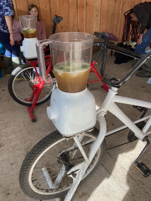 Willow Park C of E Primary School tweet media