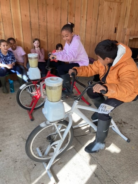 Willow Park C of E Primary School tweet media