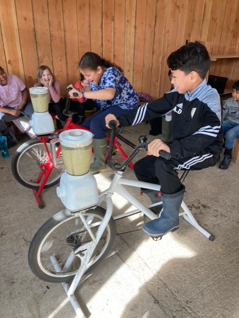 Willow Park C of E Primary School tweet media