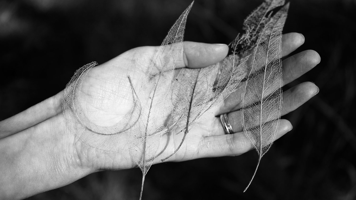KalliopeX1's tweet photo. On Friday 29 September at 6:30-8:30pm, poet Ouyang Yu and artist Jessye Wdowin-McGregor are celebrating the opening of Ekphrasis, their three-month residency at correspondences, 39 Sydney Road, Brunswick!  Bookings are essential: https://t.co/5nQPsGXqnD @people_cultures https://t.co/T1gi1cTvIc