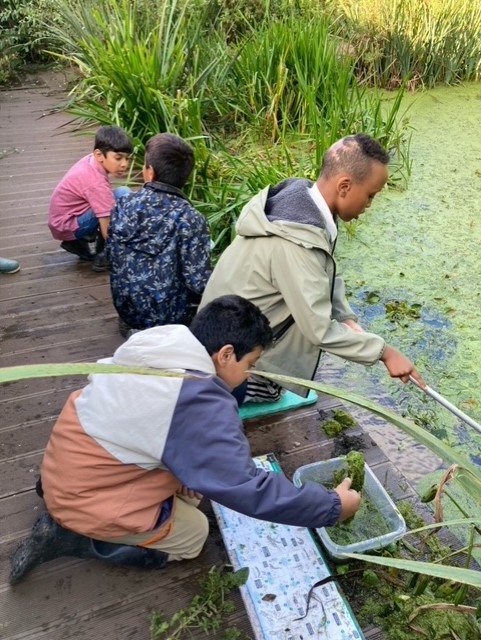 Willow Park C of E Primary School tweet media