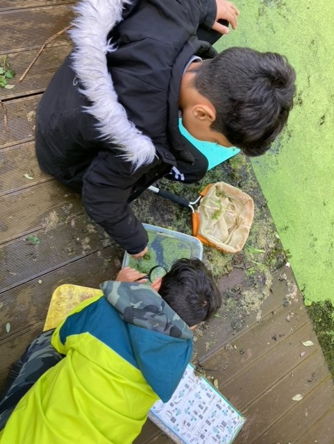 Willow Park C of E Primary School tweet media