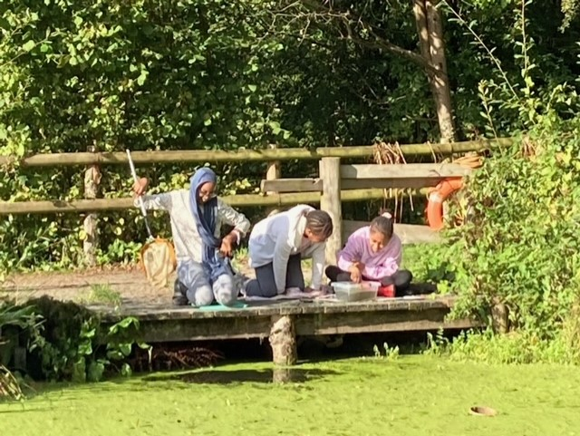 Willow Park C of E Primary School tweet media