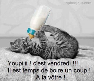 Nat_Malinette's tweet photo. Bonne journée à tous https://t.co/cgZqXaDvgS