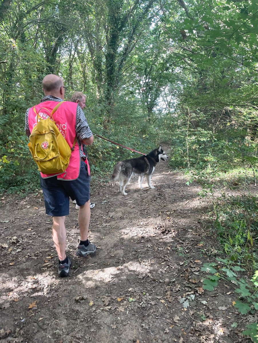 CATALYSTethos's tweet photo. Great turnout at our Walkfest Wellbeing Walk hosted by local historian David Rose ๐๐ณ๐
#walkfest #wellbeingwalk #mentalhealthwalk #surreycharity #surreycommunity #emotionalwellbeing https://t.co/18Rp7Ue9Z9