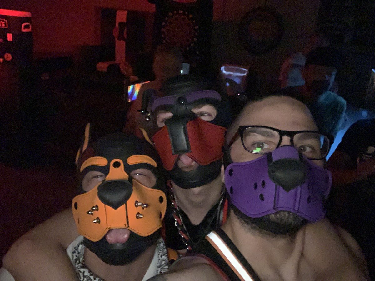 Pup_Braver's tweet photo. Here’s a couple pics from my adventures https://t.co/asyS3EdCRA