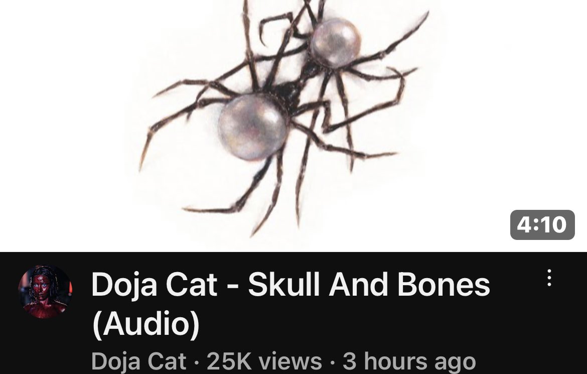 Doja Cat - Skull And Bones (Audio)