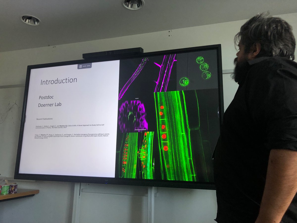 Amy Newell (@_amynewell) on Twitter photo We had a great IMPS Forum <a href="/InstMolPlantSci/">Institute of Molecular Plant Sciences</a> yesterday to celebrate PostDoc Appreciation Week!! Thank you <a href="/DamianBalfagon/">Damián Balfagón</a> and <a href="/necrobiology/">Frank Qasim Machin</a> for the amazing talks and thank you <a href="/pintofscience/">Pint of Science UK</a> <a href="/SULSAtweets/">SULSA</a> <a href="/Proteintech/">Proteintech Group</a> <a href="/UoEBioDocSoc/">SBSatEd BioDocSoc</a> for your support!
#NPAW2023 #CelebratePostdocs We had a great IMPS Forum <a href="/InstMolPlantSci/">Institute of Molecular Plant Sciences</a> yesterday to celebrate PostDoc Appreciation Week!! Thank you <a href="/DamianBalfagon/">Damián Balfagón</a> and <a href="/necrobiology/">Frank Qasim Machin</a> for the amazing talks and thank you <a href="/pintofscience/">Pint of Science UK</a> <a href="/SULSAtweets/">SULSA</a> <a href="/Proteintech/">Proteintech Group</a> <a href="/UoEBioDocSoc/">SBSatEd BioDocSoc</a> for your support!
#NPAW2023 #CelebratePostdocs