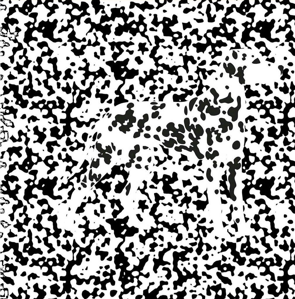 Not Elon Musk tweet media