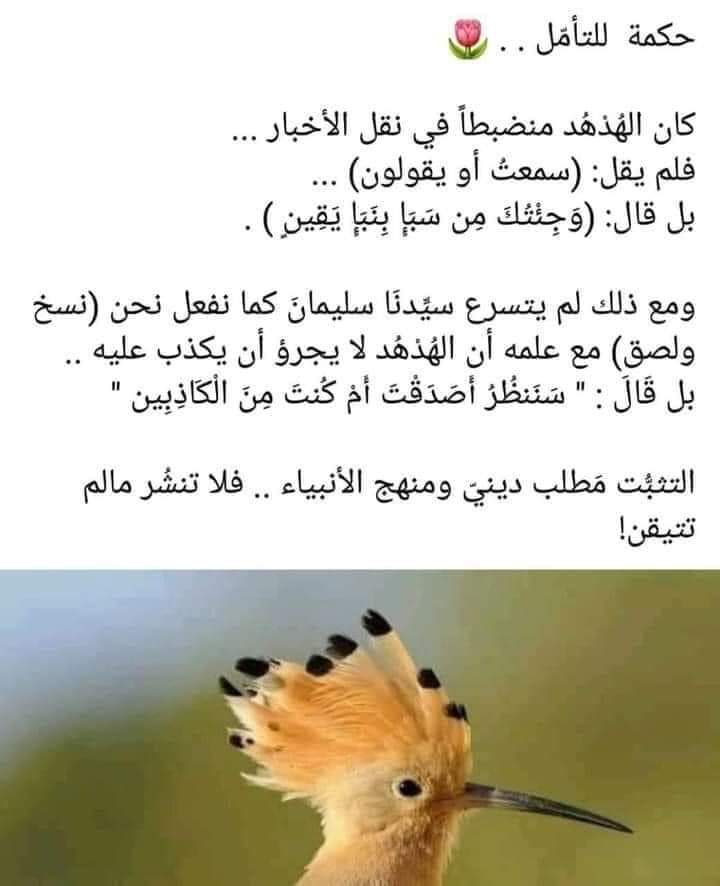 #التطبيع_خيانة
#لقاء_محمد_بن_سلمان