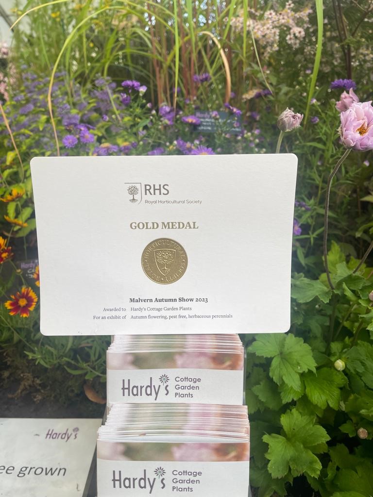 Delighted this morning with our RHS Gold Medal @MalvernShows. Find Rob in the Floral Marquee and on the Potting Shed stage at 10.30 this morning @RobHardyPlants @Rosyhardy62