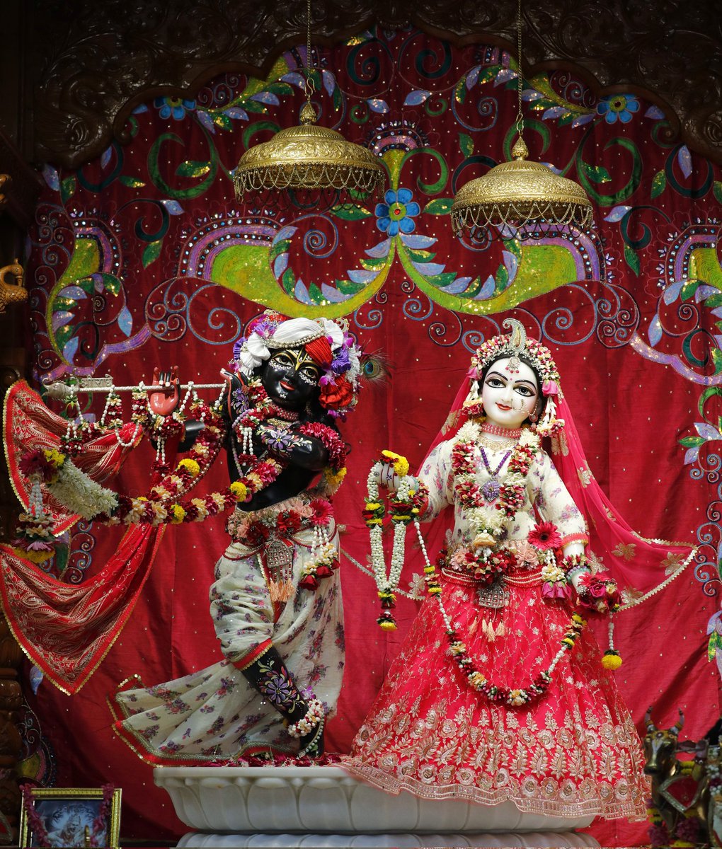iskcon_noida's tweet photo. Hare Krishna,

Our Online Donation Link for Radhashtami is given in Bio.Please donate as per your convenience.

Sri Sri Radha Govind Dev ji Shringar Aarti Darshan, 22nd Sept.

#iskcon_noida #devotional #harekrishna #srimatiradharani #radheradhe #radharani #krishna #krishnakrishn https://t.co/JUGYlBQv9V