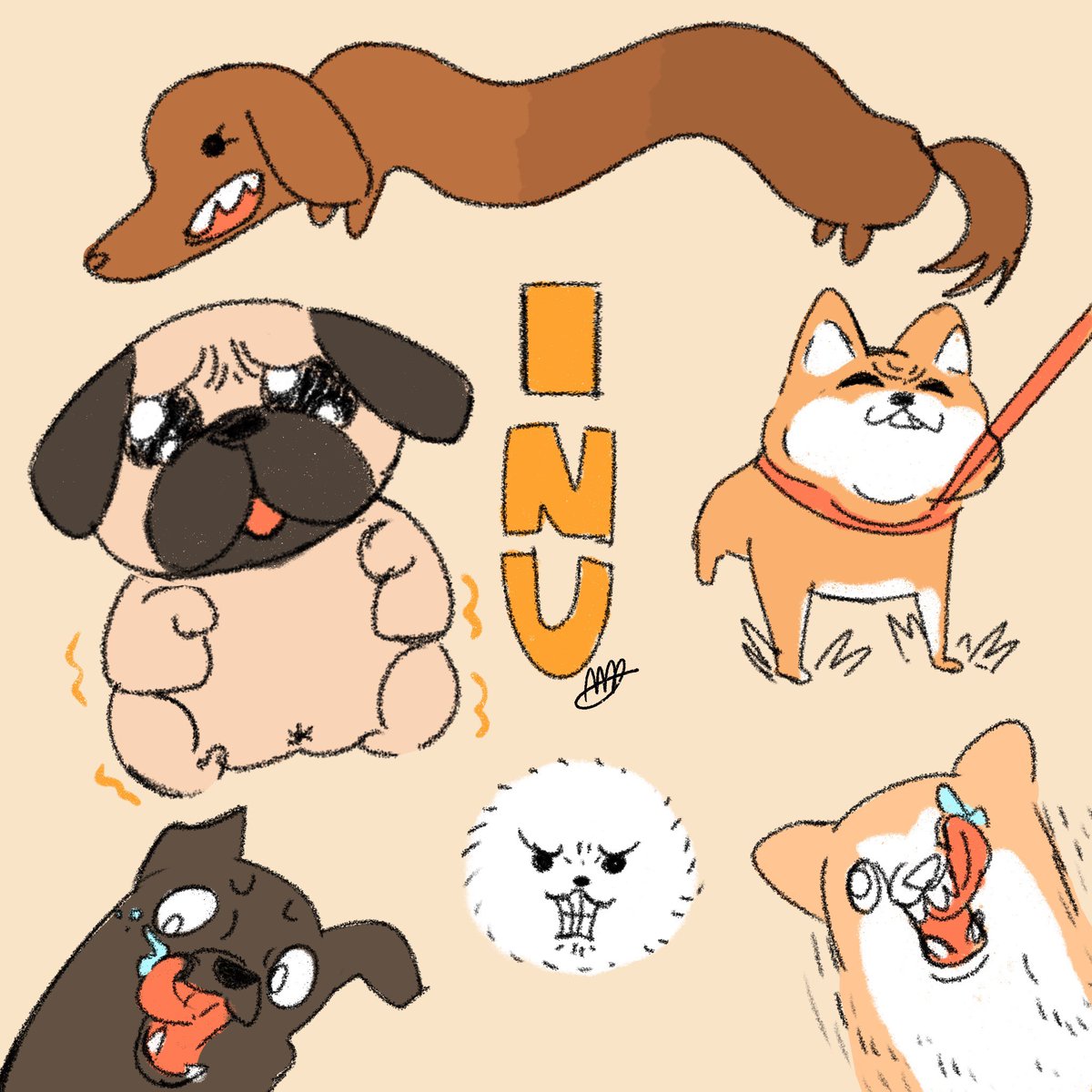 イヌ 