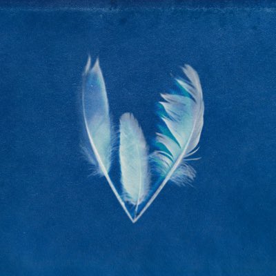 E Y R E . L L E W (@eyrellew) on Twitter photo #NewProfilePic #NewProfilePic