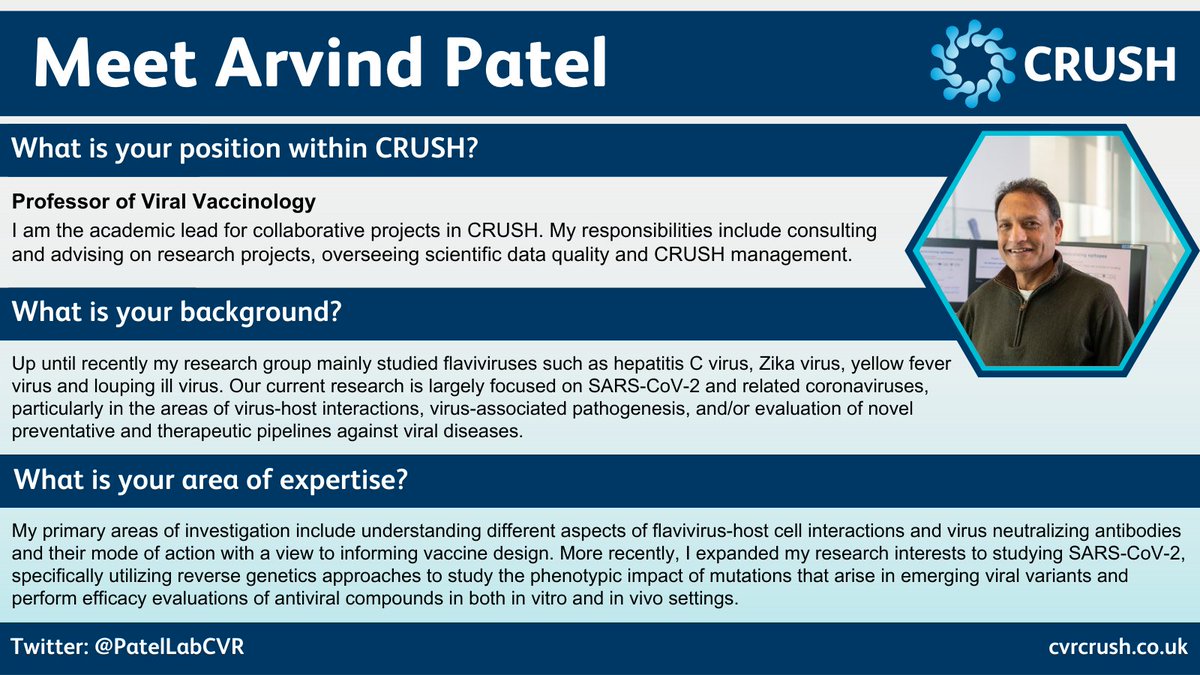 👋Meet the CRUSH Team - Prof Arvind Patel👋
#teamwork #researchservices #antiviraldrugscreening #collaboration #workwithus #crush @CVRinfo
