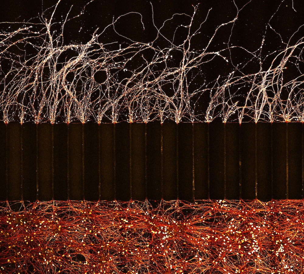 Image 2 of 4: Eruption of Etna's Embers 

Human neurons grow in a device (bottom), and the 'wires', which carry the electrical impulses, travel through tiny grooves to get to the other side (top). This chaotic network of the wires gives the effect of a volcanic eruption.

4/6