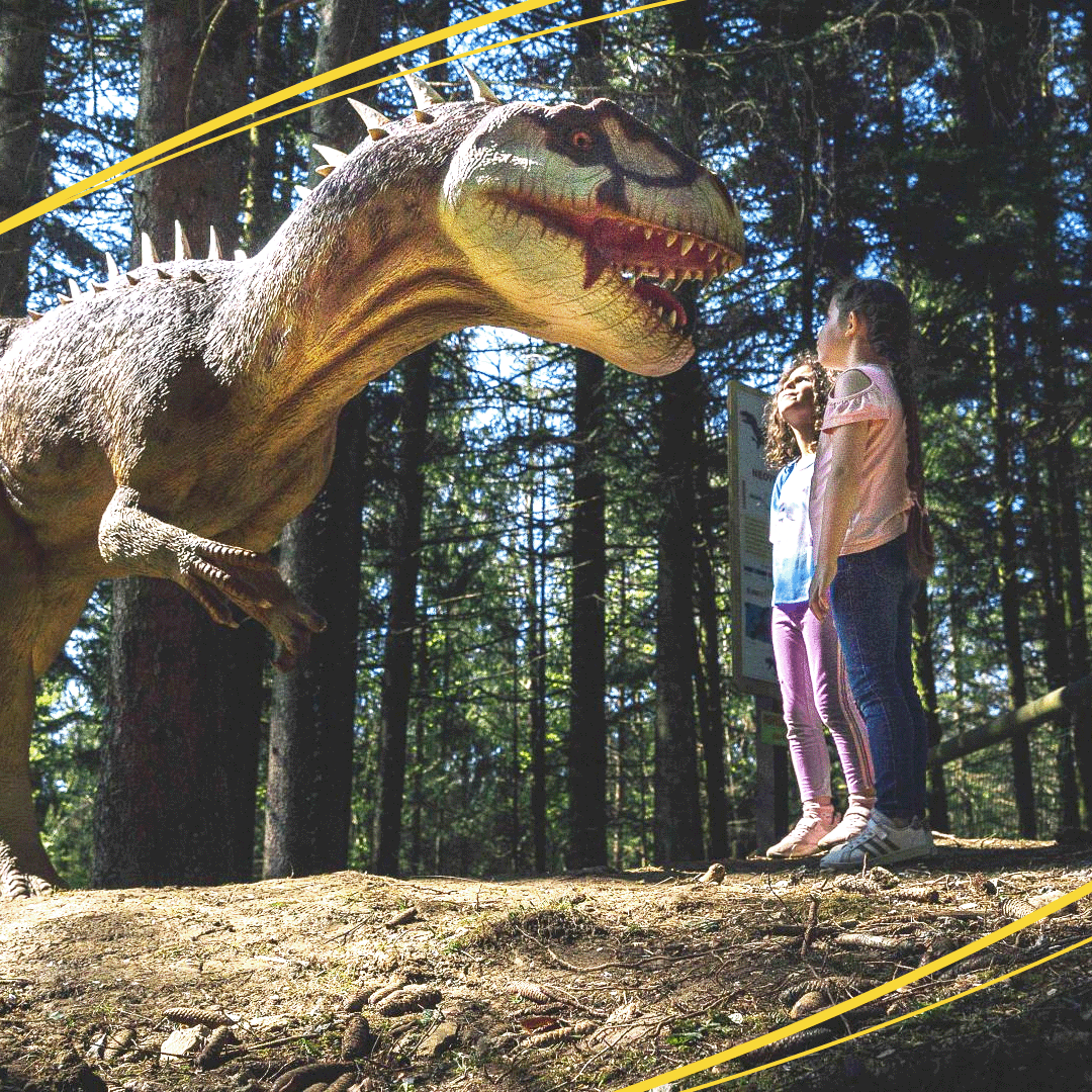 mutuellemmc's tweet photo. Vous êtes à la recherche d'activités pour le week-end ? Partez à la découverte des #dinosaures au Parc Dino-Zoo , le #Parc Préhistorique à Etalans🦕 
Profitez des #bonsplans grâce au #ClubAvantages MMC et embarquez toute la famille 👉https://t.co/fntkCr1QGl https://t.co/ThgHkVS3cB