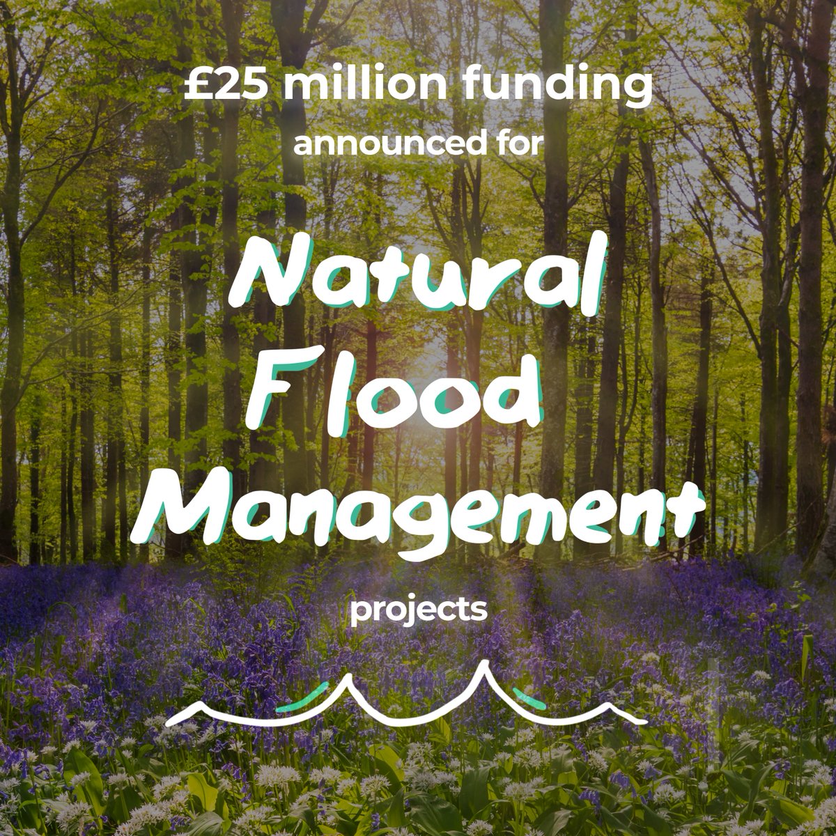 We’re looking for natural flood management projects to invest in!

Help us protect communities from flooding, while providing habitats for wildlife.

Closes 10 November.

Apply ➡️ gov.uk/guidance/natur…