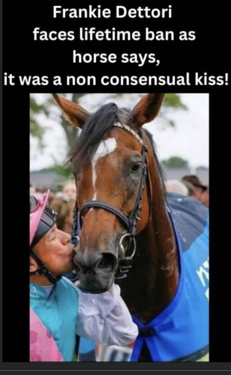 The horse might take some time off for additional sympathy