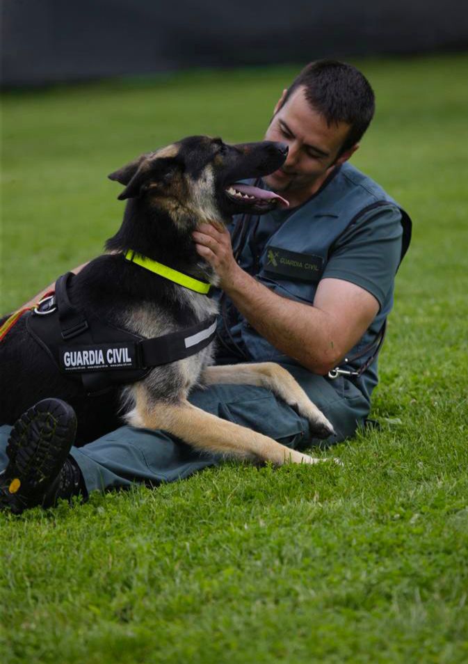 Ser binomio significa trabajar el #vínculo de la #confianza. La conexión entre guía y can es un pacto de lealtad.

#ServicioCinológico 
#TrabajamosParaProtegerte con canes.