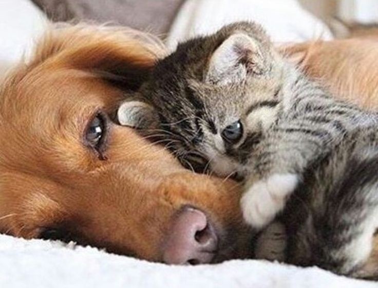 Abbie53087654's tweet image. Forever friends 💖