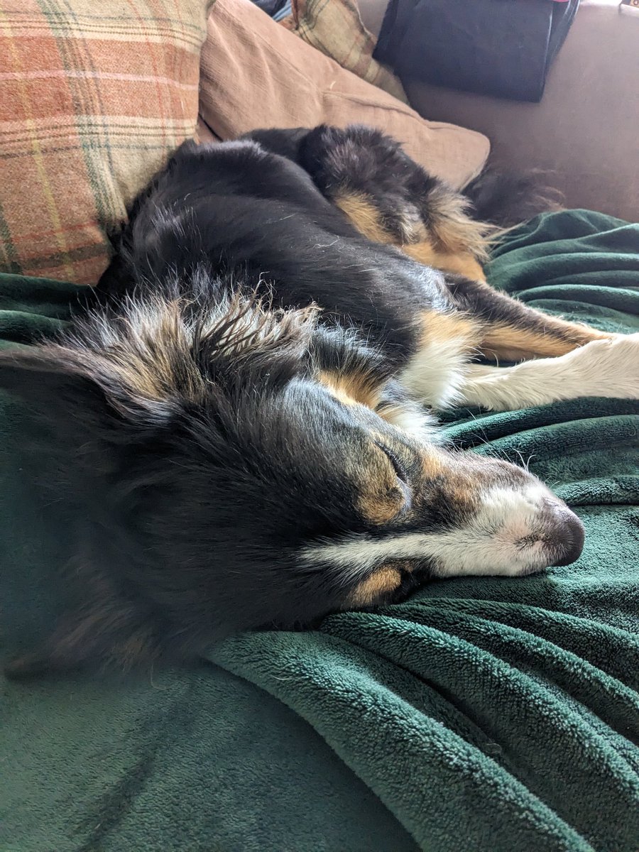 Mum said two words... 'Lazy day'