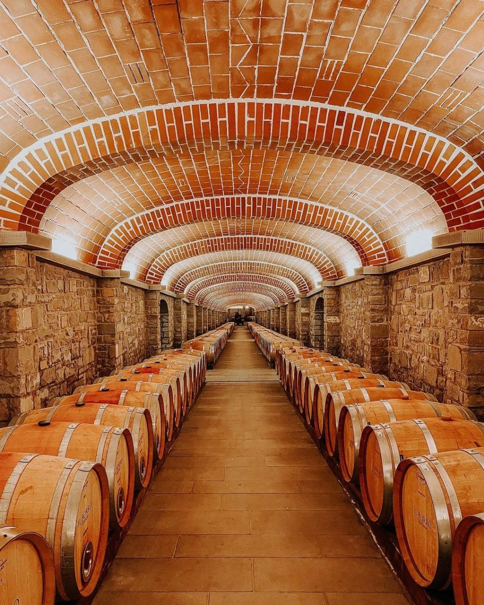 DoTravel_team's tweet photo. Calling all food enthusiasts! 
Don't miss out on these incredible Florence food festivals happening this Autumn. 🫒🍇🍂🍷

Get ready to experience a culinary extravaganza like never before.
https://t.co/9RwwRGvZIS

📷
@ariannacorrado
@fattorialavialla
@visittuscany https://t.co/AWu8QtnU8R