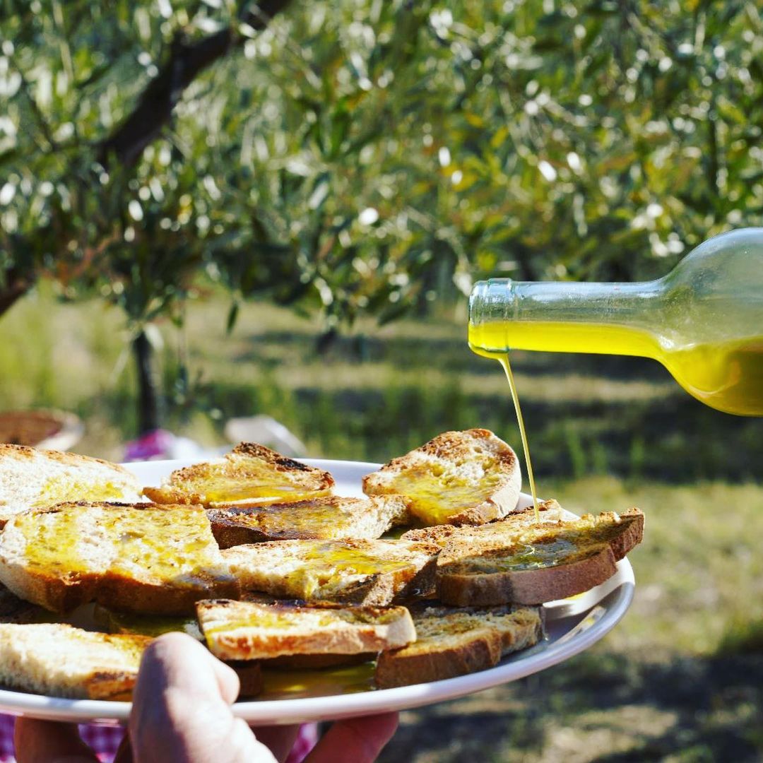 DoTravel_team's tweet photo. Calling all food enthusiasts! 
Don't miss out on these incredible Florence food festivals happening this Autumn. 🫒🍇🍂🍷

Get ready to experience a culinary extravaganza like never before.
https://t.co/9RwwRGvZIS

📷
@ariannacorrado
@fattorialavialla
@visittuscany https://t.co/AWu8QtnU8R