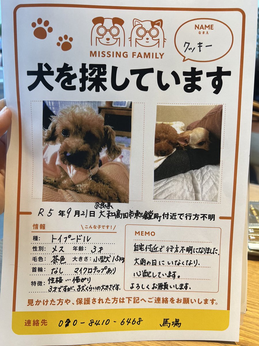 takuyaz's tweet photo. «拡散のお願いと、情報求む»。
#探してます
#トイプードル

茶色のトイプードルが行方不明になりました。奈良県大和高田市三倉堂付近です。似たような犬を見かけたり、心当たりのある方は画像の電話番号まで一報ください。詳細も画像にあります。よろしくお願いします

　馬場 https://t.co/QYVN8UbzhW