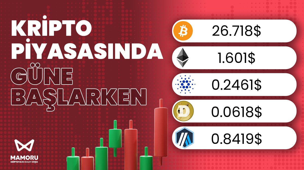 Mamoru Türkiye tweet media